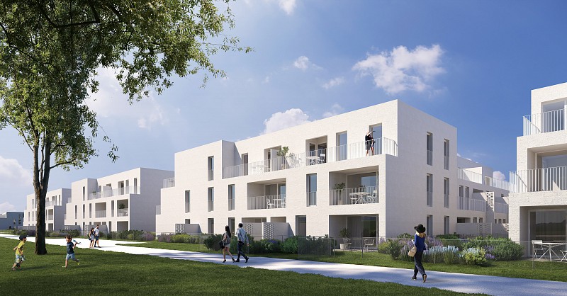 WHA Orasteig Florida BPL. A