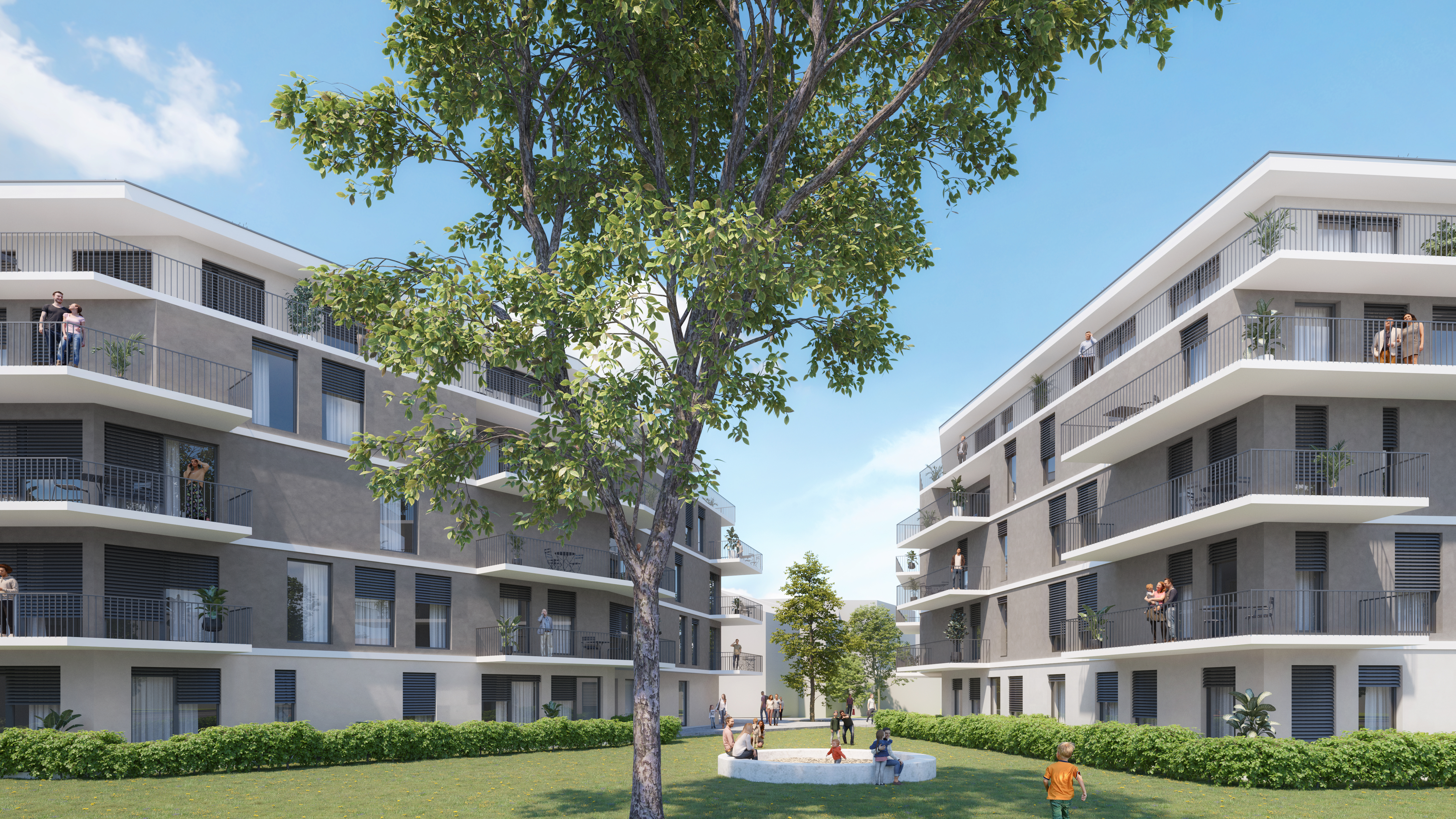 23-270B Wohnbau Mitterstraße 9_1