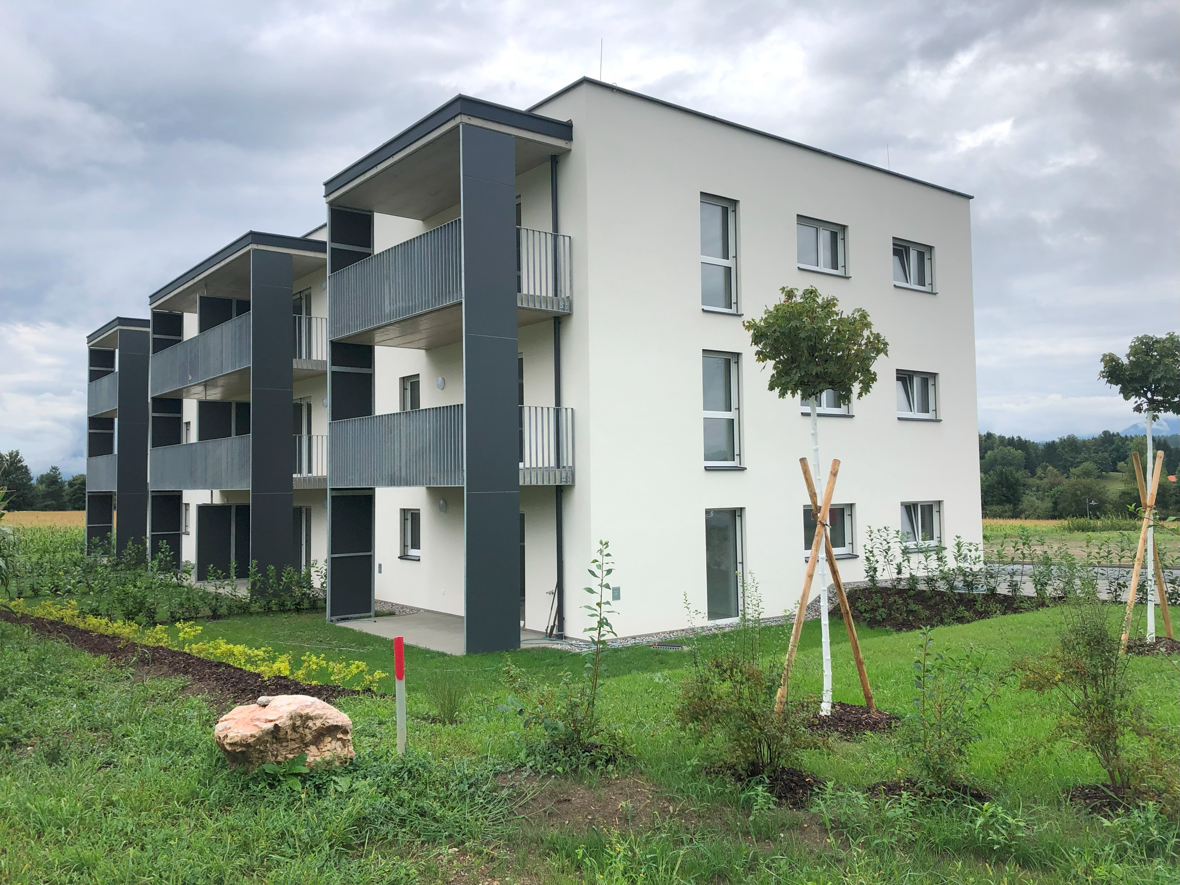 3950_Birkenweg 2.Baustufe