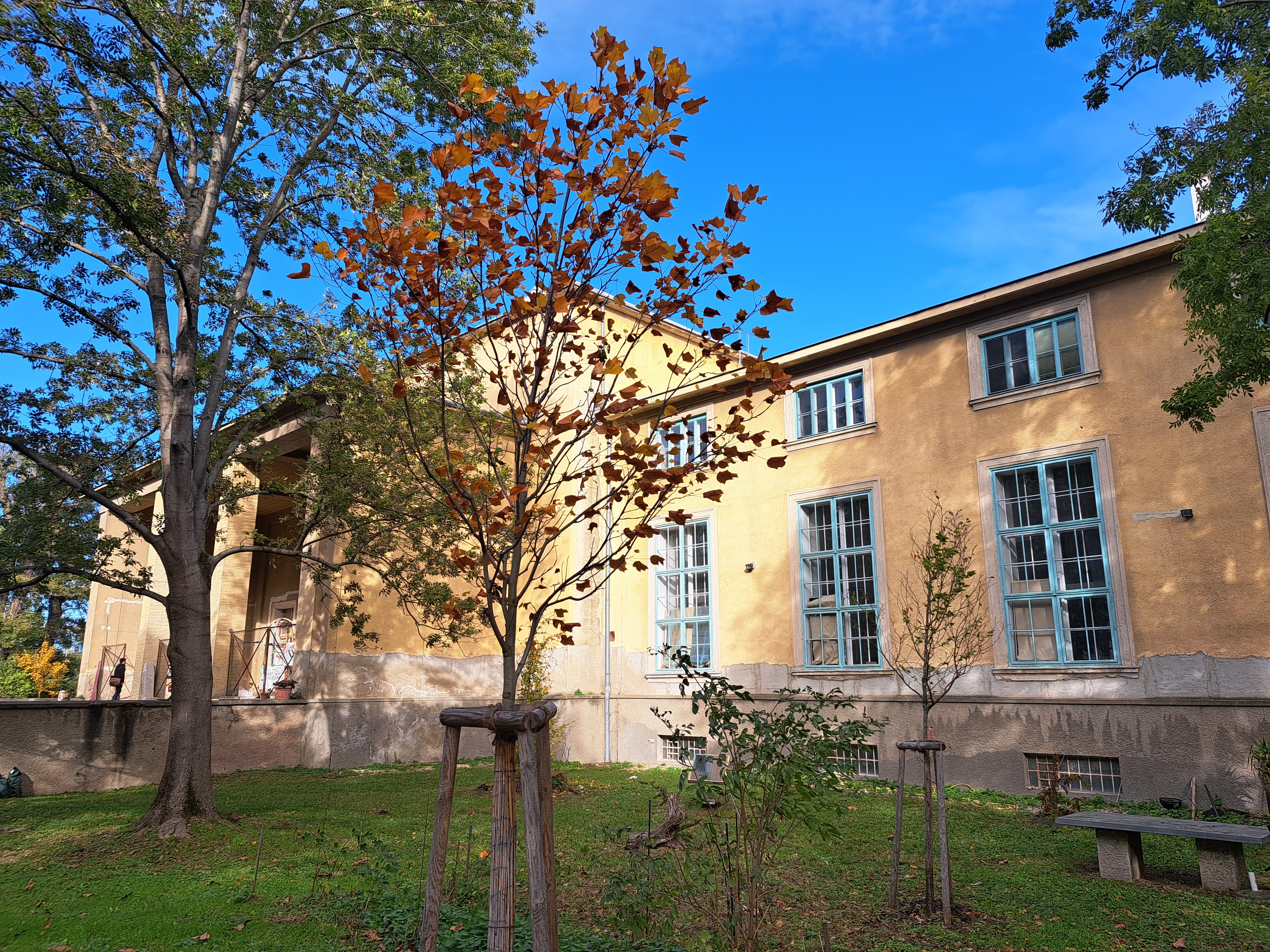 Praterateliers - Nordpavillon